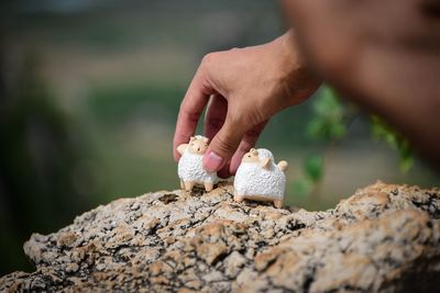 Cropped hand of person holding toy on rock