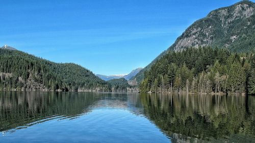 Reflection of trees in lake