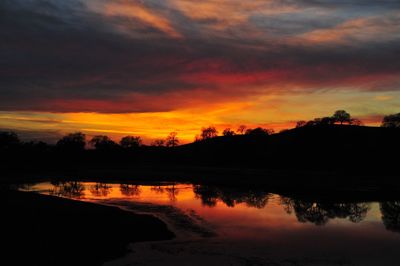 Scenic view of silhouette trees against sky at sunset