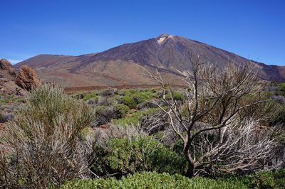 Scenic view of mountains against blue sky