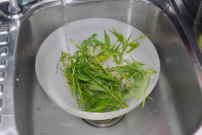 High angle view of vegetables in container