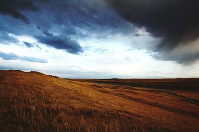 Scenic view of field against sky