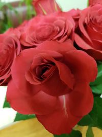 Close-up of rose bouquet