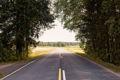 A lonely road leads winding to the horizon under the tree branches at the rural finland. 