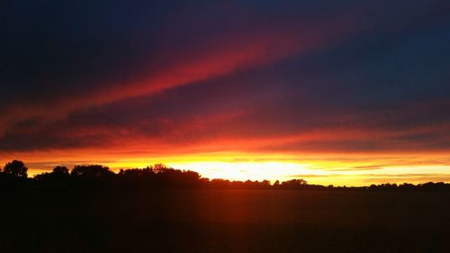 Silhouette of trees at sunset