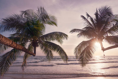 Palm trees at beach against sky during sunset