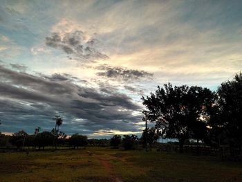 Silhouette trees against sky during sunset
