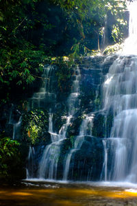 Scenic view of waterfall