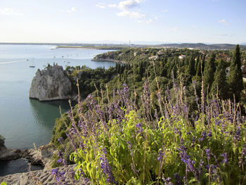 Scenic view of ancient ruins of a medieval castle on cliff above adriatic sea, italy.