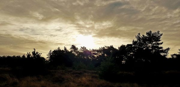 Silhouette trees on field against sky at sunset