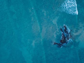 High angle view of man swimming in sea