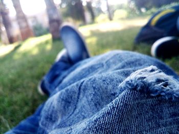 Low section of man relaxing on grass