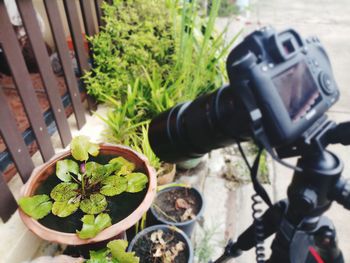 High angle view of camera on potted plant