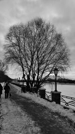 Silhouette of bare trees against cloudy sky