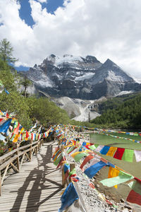 Bunting on footpath by river against mountain