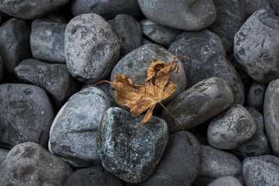 Full frame shot of pebbles