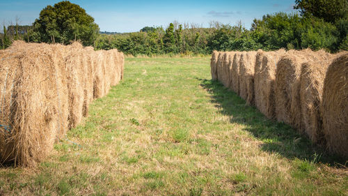 Hay bales on field against sky