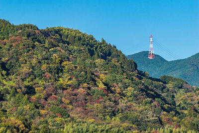 Trees and mountains against clear blue sky