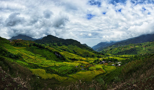 Scenic view of agricultural field against sky