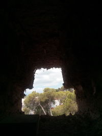 Low angle view of trees seen through cave