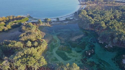 High angle view of sea by trees