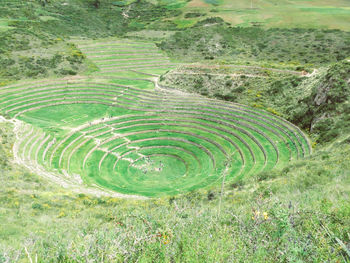 High angle view of green field