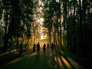 Silhouette people walking on road amidst trees in forest