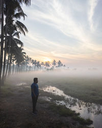 Misty morning 