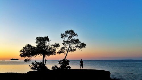 Silhouette tree by sea against clear sky