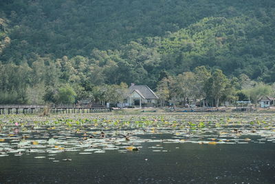 Scenic view of lake