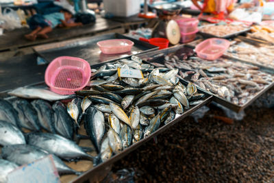 High angle view of fish for sale in market