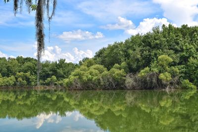 Scenic view of lake by trees against sky