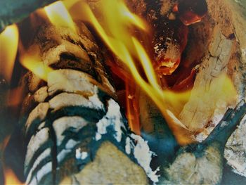 High angle view of ice cream