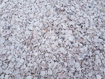 Full frame shot of stones