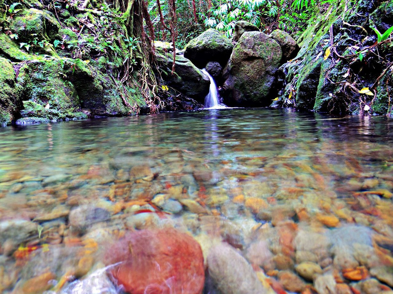 water, rock - object, nature, waterfall, tree, beauty in nature, moss, flowing water, rock formation, growth, forest, plant, motion, rock, textured, flowing, day, outdoors, scenics, no people