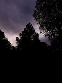Low angle view of silhouette trees in forest against sky