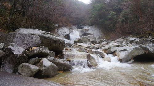 Scenic view of waterfall in forest