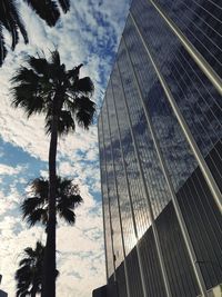 Low angle view of coconut palm trees against sky