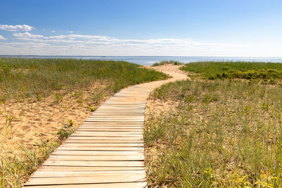 Ecological hiking trail in national park through sand dunes, beach, sedge thickets and plants