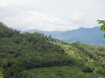 Scenic view of trees and mountains against sky