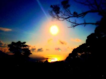 Silhouette of trees at sunset