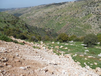 Scenic view of landscape