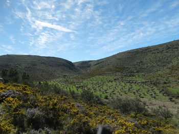 View of landscape against sky