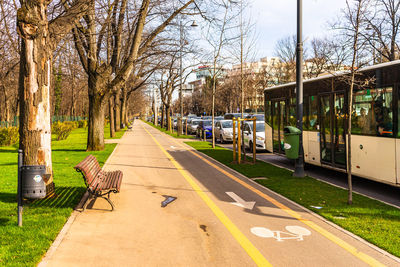 Empty road amidst trees in city