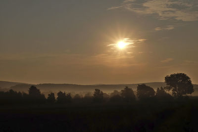 Silhouette trees on field against sky at sunset