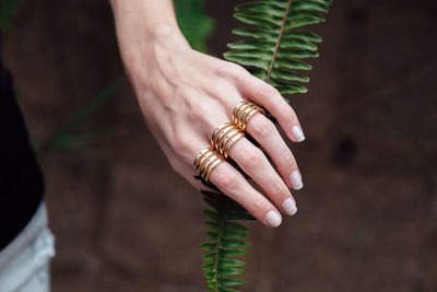 Close-up of hand holding plant