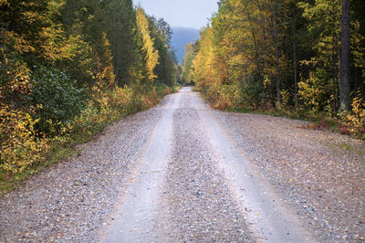 Road amidst trees in forest during autumn