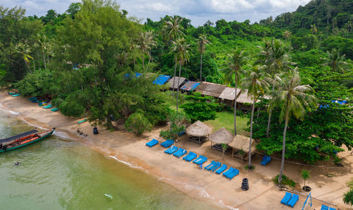 High angle view of palm trees by swimming pool