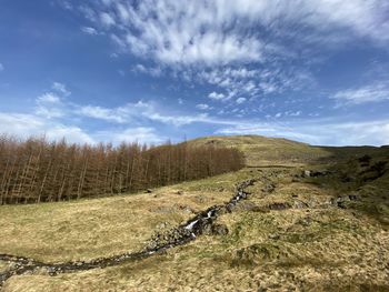 Scenic view of field against sky