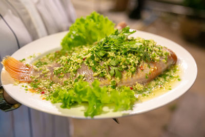 Close-up of food in plate